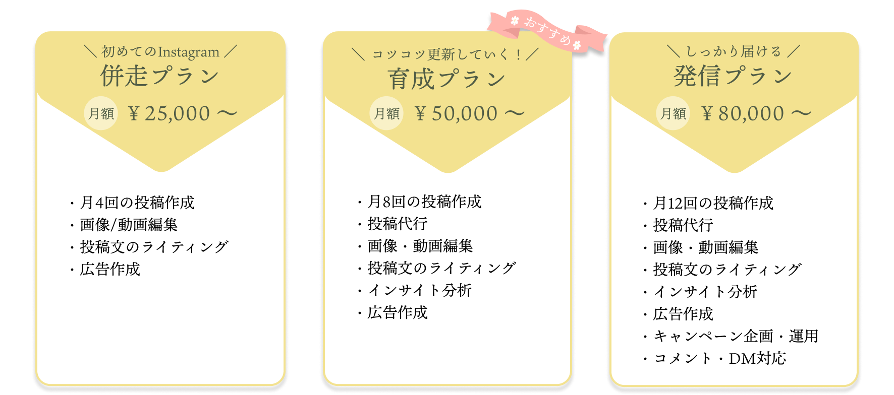 Instagram運用代行プラン